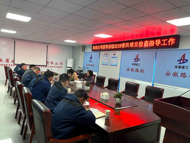 公司黨委委員、紀(jì)委書(shū)記王鵬到S219青陽(yáng)改建項(xiàng)目調(diào)研指導(dǎo)工作